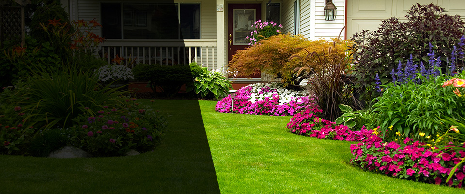 Whiteville Landscapers
